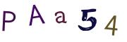 Recopier le code Captcha de l'image