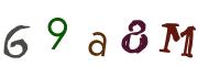Recopier le code Captcha de l'image