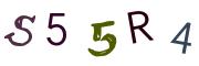 Recopier le code Captcha de l'image